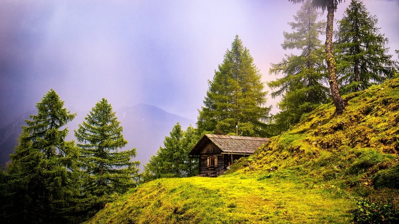 Secluded Cottage in the Forest